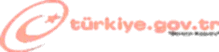 e-devlet