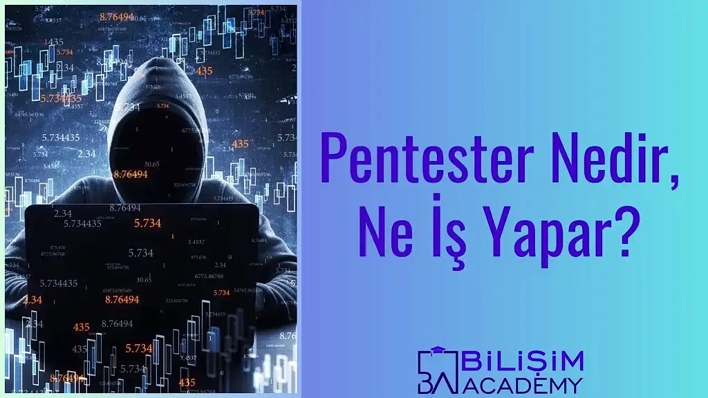 Pentester Nedir?
