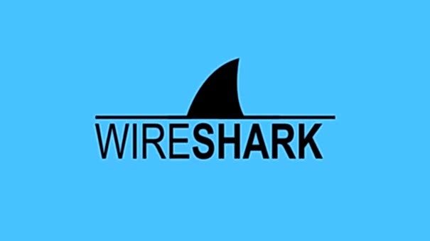 What Is Wireshark?